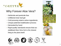 Page 7: Forever Living Business presentation 1-1