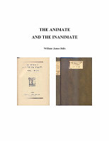 The Animate and the Inanimate