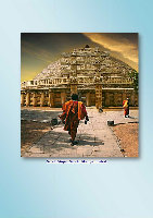 Page 14: Annual Report Tourism Survey for the State of Madhya ...tourism.gov.in/sites/default/files/Other/MP Tourism - Annual Report... · Annual Report Tourism Survey for the State of Madhya